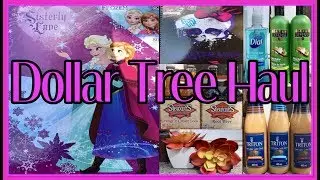 NEW DOLLAR TREE HAUL | ALL NEW FINDS | AUGUST 11 2019
