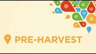 Pre Harvest - Managing Harvest Dust: Pre-Harvest | California Almonds