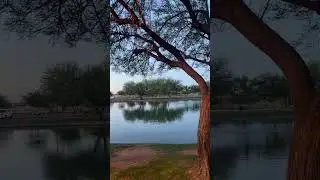 Bird Sounds Sunrise Morning Arizona Phoenix