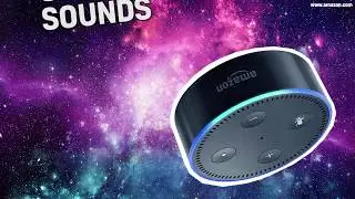 New Things To Try With Alexa | Play Animal Game? | BEANO XL