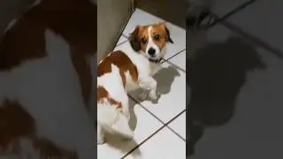 chuchin