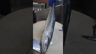 Surmai Fish Cutting Skills#shorts