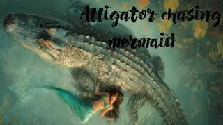 Alligator chasing Mermaid 🐊🔥#watch #entertainment #you tube #trending 