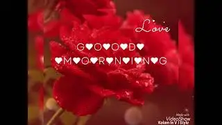 Beautiful Good Morning Gif Animated Image | Morning Vibes | #goodmorningstatus | #rose 👍