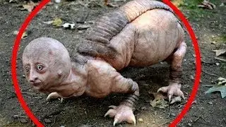 10 Strangest Chernobyl Mysteries They Tried To Bury