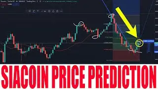 SIACOIN PRICE PREDICTION 2021 - SIACOIN PRICE GO HIGHER AND CONTINUE RISE UP