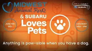 Lee's Summit Subaru Annual Pet Adoption Event 2021