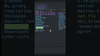 #shorts Как посмотреть скрытые файлы в терминале на Linux.