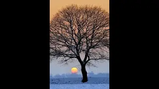 European Forecast from Christmas Eve with Jason's Weather Window