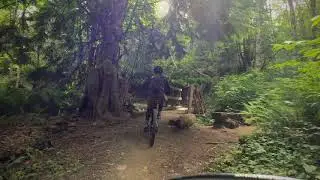 Olympic Discovery Trial | Adventure Route Video #1