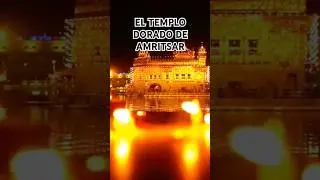 EL TEMPLO DORADO DE AMRITSAR #curiosidades #datoscuriosos #historias #sabiasque #religion