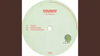 In Rapid Succession (Original Mix)