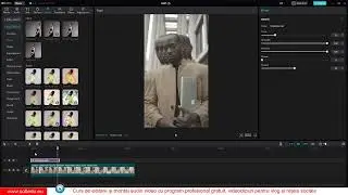 Curs CapCut, Filtre Tranzitii Efecte