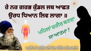 ਜਦੋਂ ਮਨੁੱਖ ਗਰਭ ਵਿੱਚ ਸੀ || Human body and birth #dharamsinghnihang #gurbanistatus