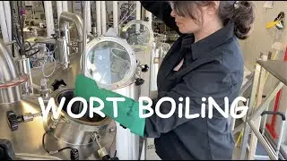 How is Beer Made? - Wort Boiling Process (Brew Kettle & Whirlpool)
