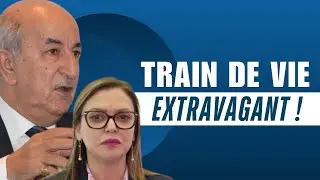Biens de prestige et train de vie fastueux de la figure anticorruption proche de Tebboune