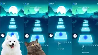 Tiles hop EDM Rush   White dog vs Cute cat on Ball Games channel