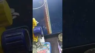 display pata ka line microscope 🔬 me #allmobilerepair #smartphone #repair  #reels #trendingshorts