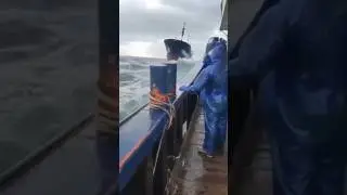 merchant Navy ships video || navy ship   ⚓ 💫 #merchantnavy#shiplife #navystatus#viralvideo#2025...