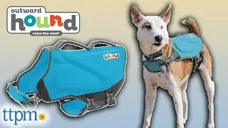 Granby Dog Life Jacket from Outward Hound Review!