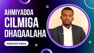 Ahmiyadda Kuliyadda Economics iyo waxa lagu barto!