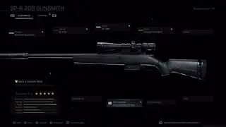 The best R700 class for Warzone