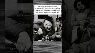 📢🤯 Wine at Recess: France&rsquo;s Schoolhouse Drinking Tradition That Lasted Until 1956 #shorts
