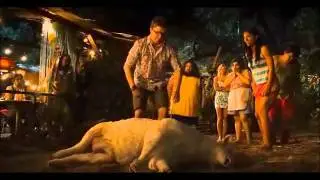 Just go with it- Sheep Scene