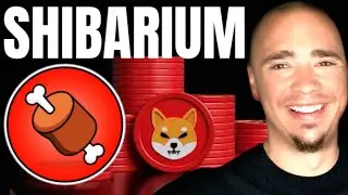 SHIBA INU COIN'S GOVERNANCE TOKEN BONE SURGES! SHIBA INU COIN NEWS