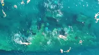 Relitto di Pomonte &ldquo;Elviscot presso Isola D&rsquo;Elba&rdquo;