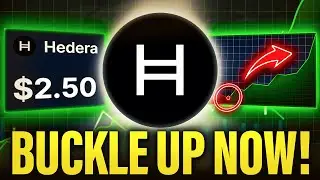 This 100% PROVES Hedera HBAR Will Be A TOP 10 Project