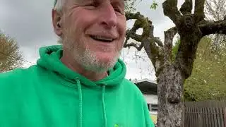 Cut Down or Save a 100 Year Old Rotten Apple Tree?