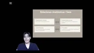 Arteria Tibial Anterior   Anatomía Clave