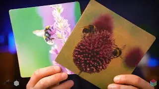 What Affects The Print On Your Packaging (Clay Coated Board Edition) | Actionpoint
