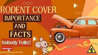 Rodent Cover🚘🐀