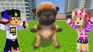 We Adopted a Pibble Puppy in Minecraft! Noob vs Pro Girl Trolling Challenge