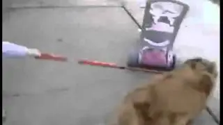 GO BWAHH!!! ._. o3o