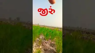 જીરા ની મોજ 🙏 #shortvideo #viral