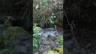 Stevenson River - VIC, Australia #rockycliff #mountain #camping #hike #falls #rivers #ASMR #travel