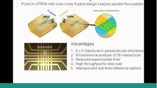 Identification of a Novel Ubiquitin-Binding Domain by SPR
