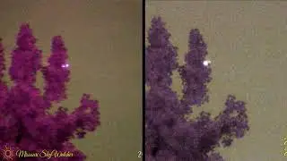 Comparison Video Footage Of The Luna Optics LN-DM50 VS LN-DM60