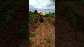 Power Weeder attachments