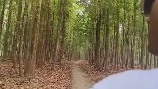 Gossairhat Eco park