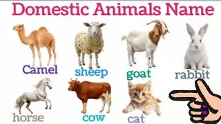 Domestic Animals 🐰🦮🐪 | Kids Videoपालतू जानवरों के नाम | बच्चों के लिए सीखने वाला वीडियो