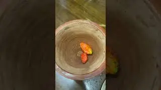 King chili🌶️ and fermented fish🐟 chutney😋