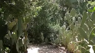 Tucker Wildlife Santa Ana Mountains