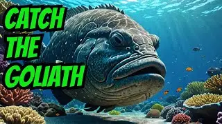 FISHING PLANET PS5 GOLIATH GROUPER XP FARMING AGAIN. GITTER DONE!!!