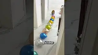 Mon petit chien a fait éclater tous les ballons de la maison 😲🎈