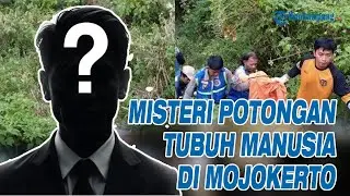 Misteri Potongan Tubuh Manusia di Mojokerto, Warga Sempat Temukan Daging Sepekan Sebelumnya
