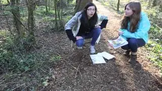 Springwatch, but not